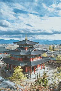 【主角乔舒宋叙亦谢知节沈净】离年流通全集阅读